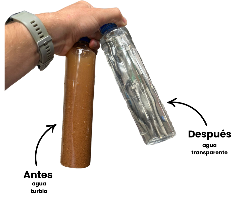 Antes (3) Antes (3)